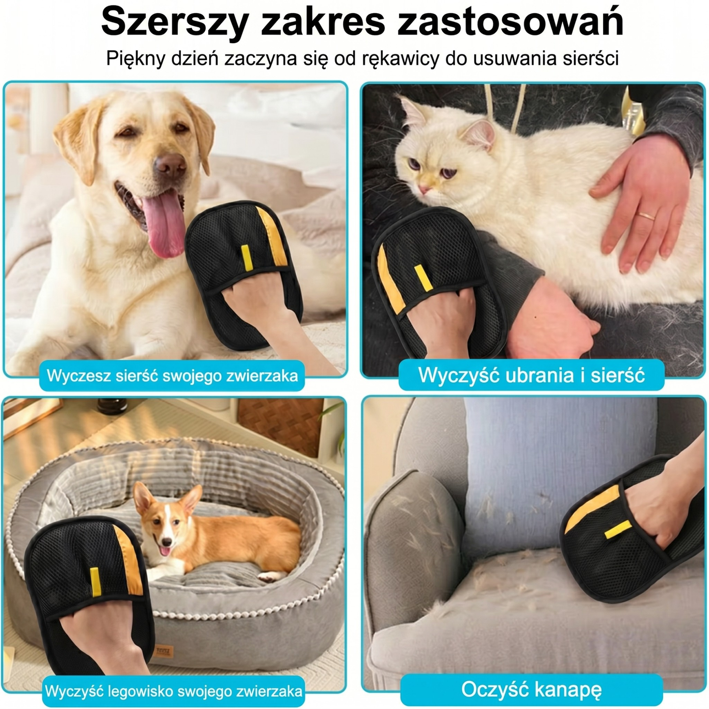 Petzora - The Glove Pet